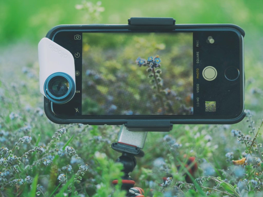 camera on tripod in grass