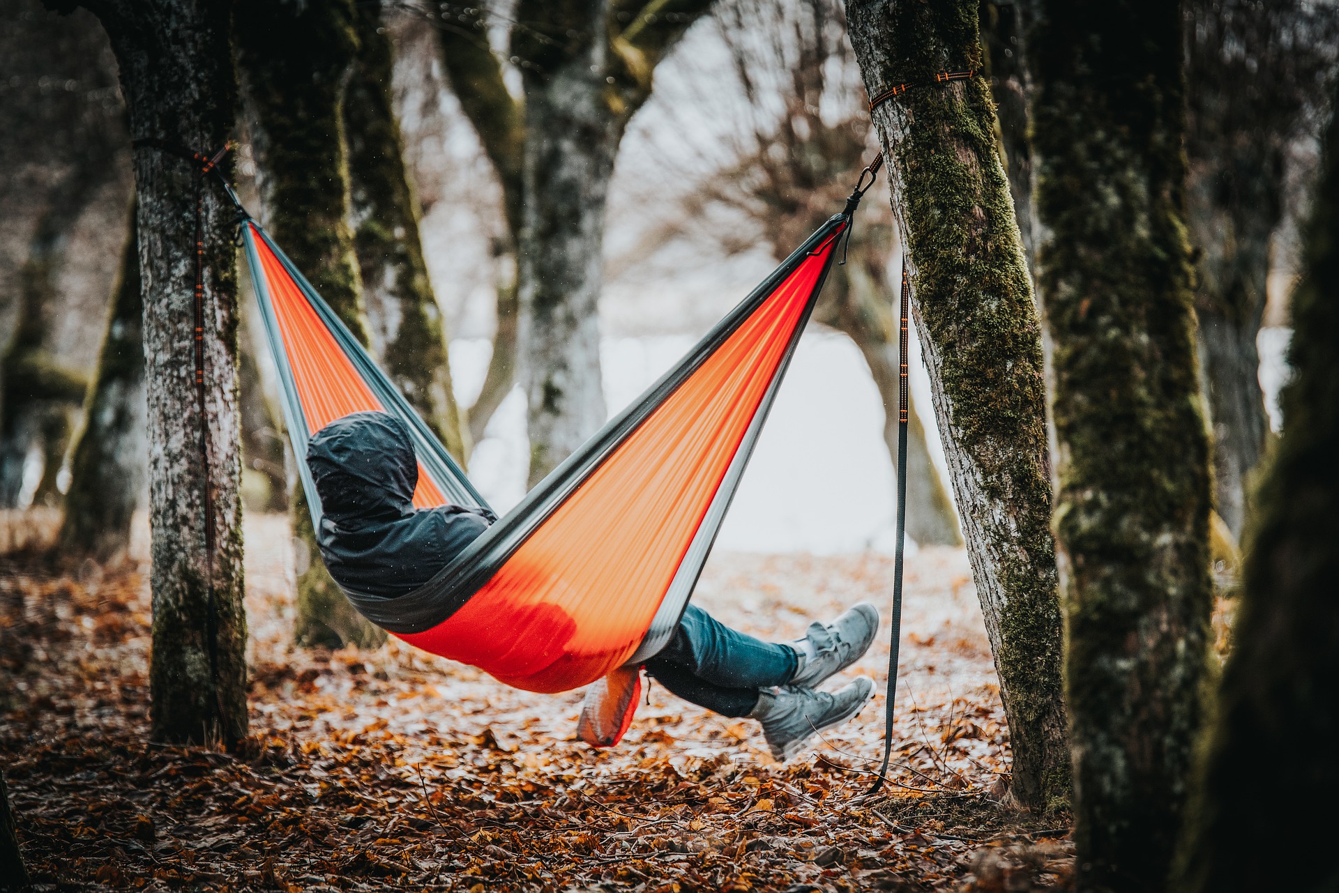 People have been using hammocks. Гамак на дереве. Гамак в осеннем лесу. Гамак картинка для детей. Гамак на деревьях рисунок.